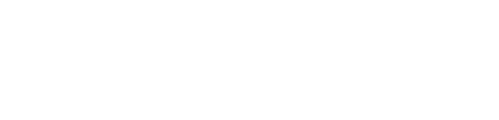 TNT 快递